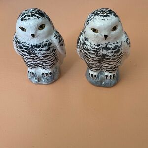Snow Owls Salt ‘n Pepper shakers